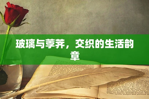 玻璃与荸荠，交织的生活韵章