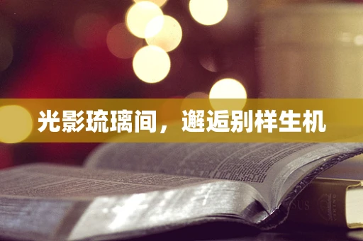 光影琉璃间，邂逅别样生机