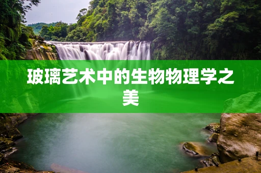 玻璃艺术中的生物物理学之美