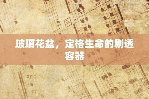 玻璃花盆，定格生命的剔透容器