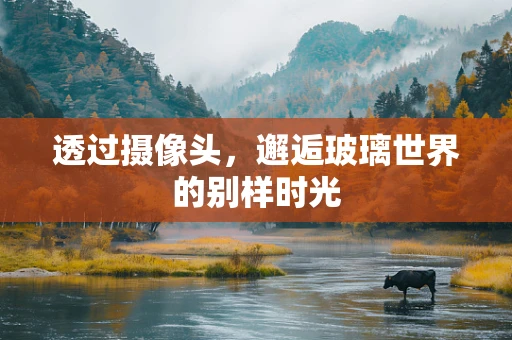 透过摄像头，邂逅玻璃世界的别样时光