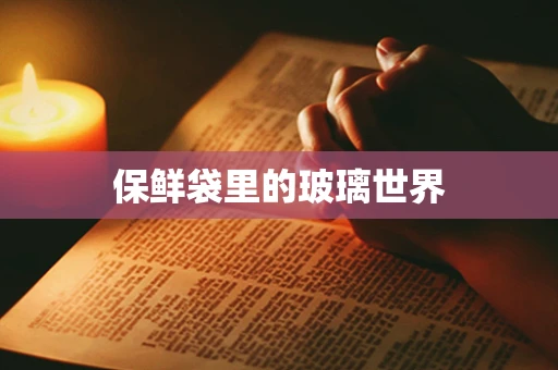 保鲜袋里的玻璃世界