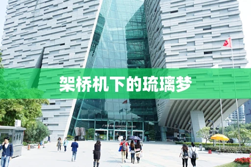 架桥机下的琉璃梦