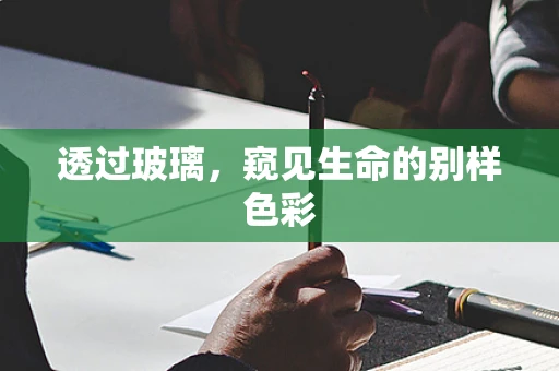 透过玻璃，窥见生命的别样色彩