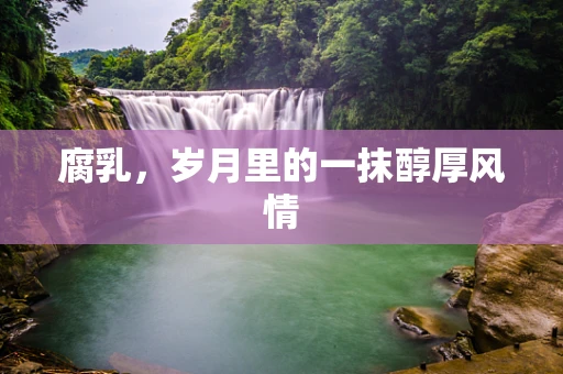 腐乳，岁月里的一抹醇厚风情