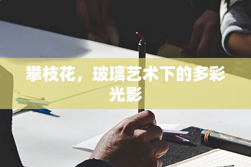 攀枝花，玻璃艺术下的多彩光影