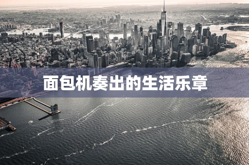 面包机奏出的生活乐章