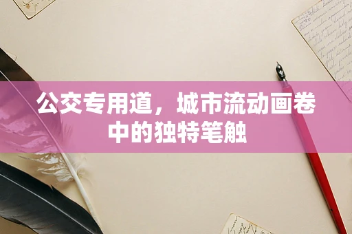 公交专用道，城市流动画卷中的独特笔触