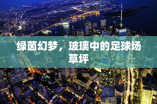 绿茵幻梦，玻璃中的足球场草坪