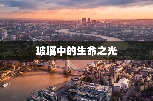 玻璃中的生命之光