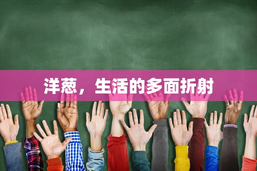 洋葱，生活的多面折射
