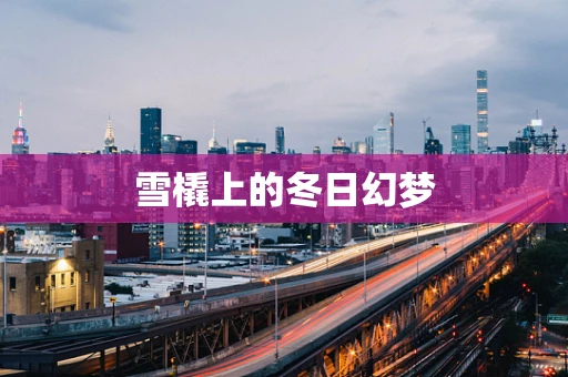 雪橇上的冬日幻梦