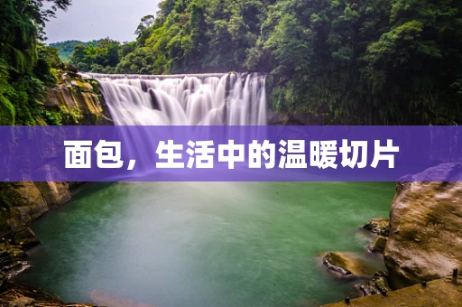 面包，生活中的温暖切片