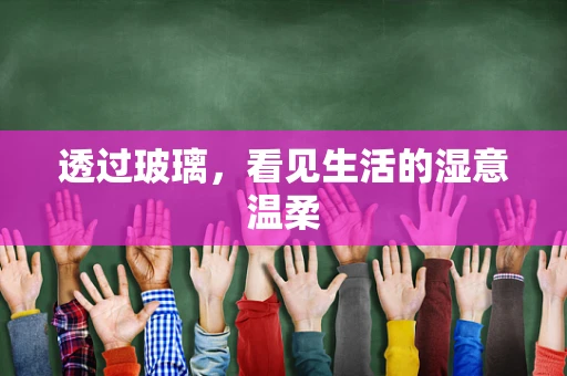 透过玻璃，看见生活的湿意温柔
