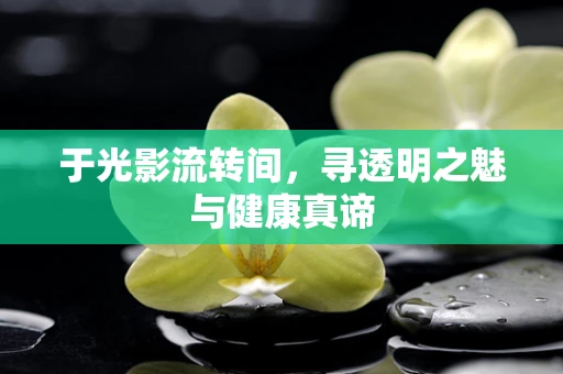 于光影流转间，寻透明之魅与健康真谛
