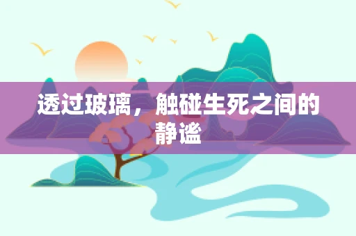 透过玻璃，触碰生死之间的静谧