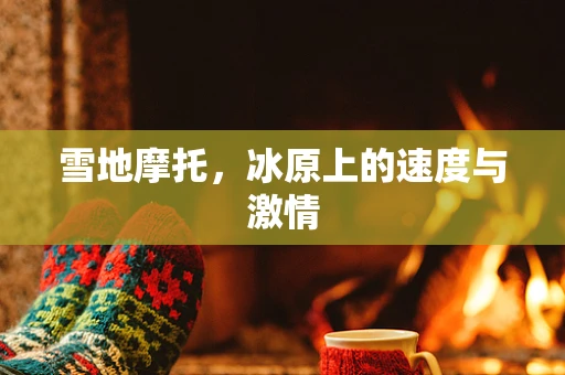雪地摩托，冰原上的速度与激情