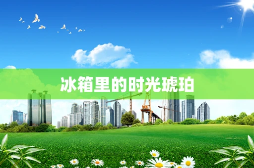 冰箱里的时光琥珀