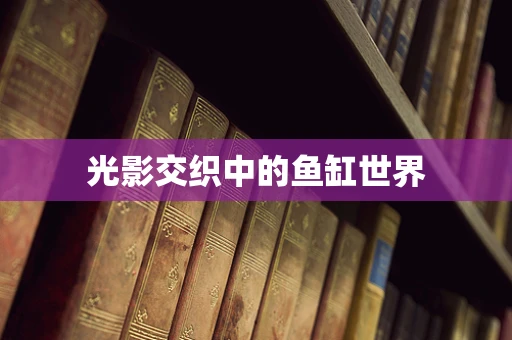 光影交织中的鱼缸世界