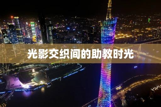 光影交织间的助教时光