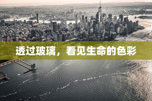 透过玻璃，看见生命的色彩