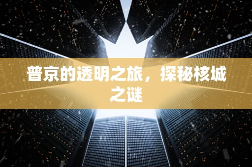 普京的透明之旅，探秘核城之谜