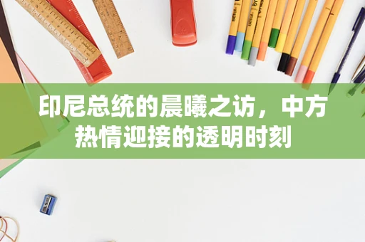 印尼总统的晨曦之访，中方热情迎接的透明时刻