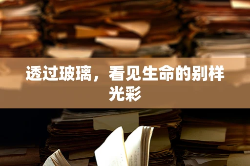 透过玻璃，看见生命的别样光彩
