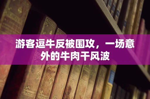 游客逗牛反被围攻，一场意外的牛肉干风波