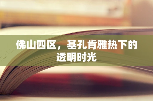 佛山四区，基孔肯雅热下的透明时光