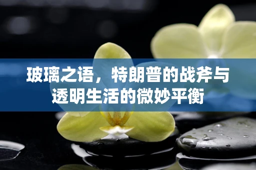 玻璃之语，特朗普的战斧与透明生活的微妙平衡
