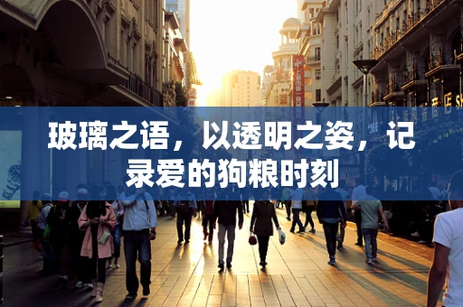 玻璃之语，以透明之姿，记录爱的狗粮时刻