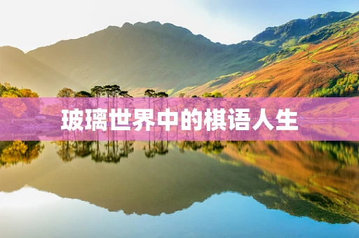 玻璃世界中的棋语人生