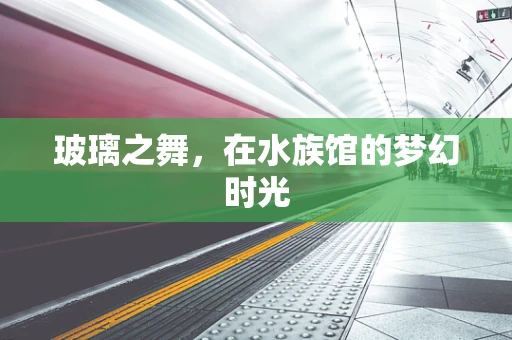 玻璃之舞，在水族馆的梦幻时光