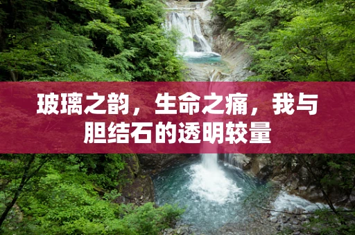 玻璃之韵，生命之痛，我与胆结石的透明较量