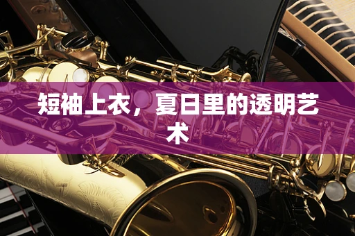 短袖上衣，夏日里的透明艺术